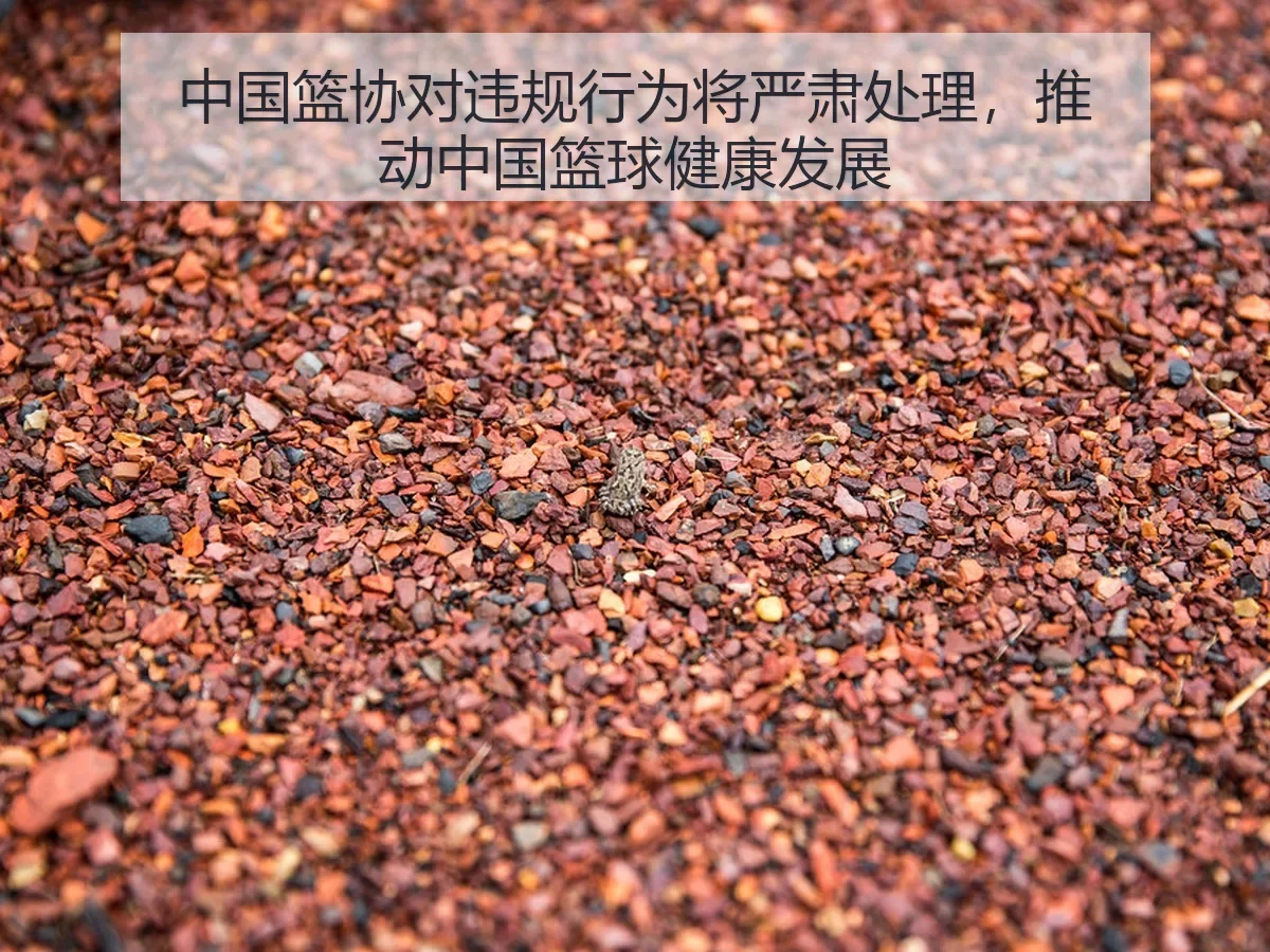 中国篮协对违规行为将严肃处理,推动中国篮球健康发展